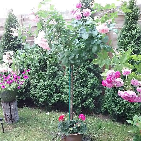 Apartamento Pokoje Mlodziezowe Stary Toruń Exterior foto